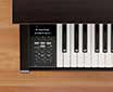 Kawai-CN-39-Panel-b